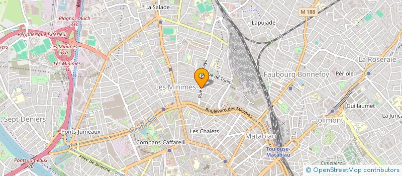 localisation de l'entreprise MADAME VIRGINIE LAIDIN à TOULOUSE