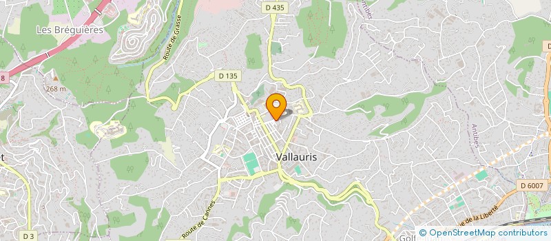 localisation de l'entreprise MADAME VIRGINIE LAURENT à VALLAURIS