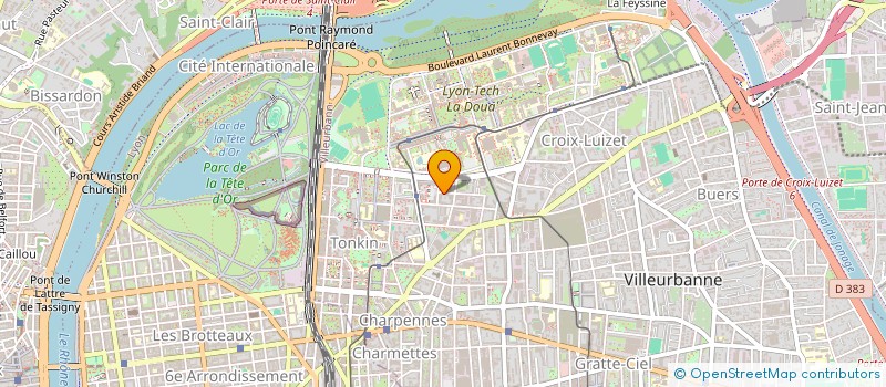 localisation de l'entreprise MADAME VIRGINIE LAVIGNE  VILLEURBANNE