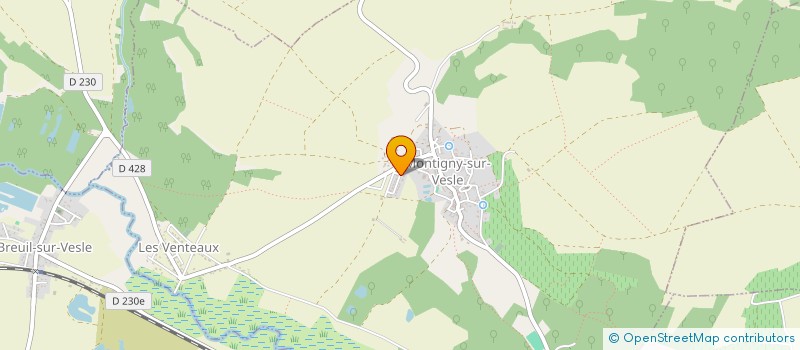 localisation de l'entreprise MADAME VIRGINIE LOEZER  MONTIGNY-SUR-VESLE