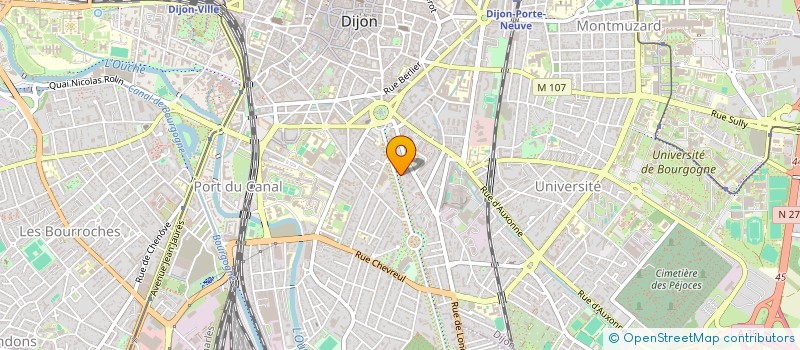 localisation de l'entreprise MADAME VIRGINIE MAFAYOUX à DIJON