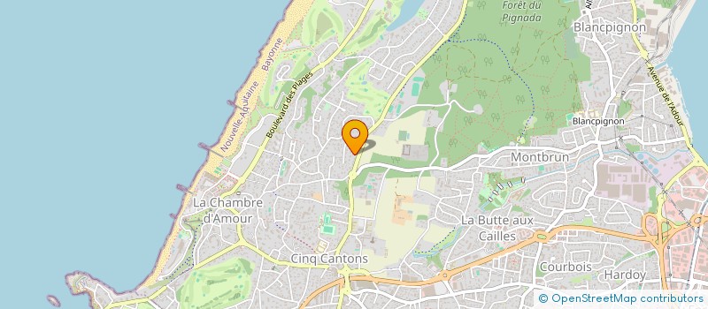 localisation de l'entreprise MADAME VIRGINIE MENDEZ-VAQUERO  ANGLET