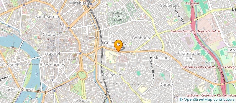 localisation de l'entreprise MADAME VIRGINIE MISINKIEWIEZ à TOULOUSE
