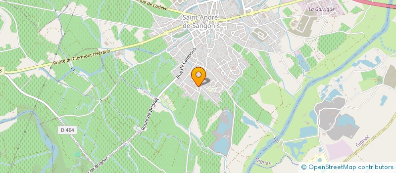localisation de l'entreprise MADAME VIRGINIE OLMO  SAINT-ANDRE-DE-SANGONIS
