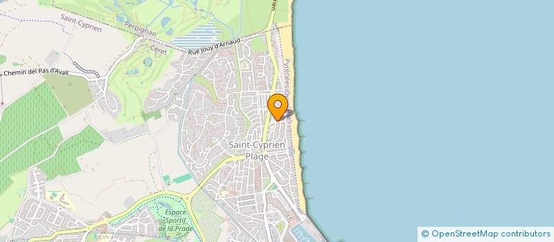 localisation de l'entreprise MADAME VIRGINIE PICQUET  SAINT-CYPRIEN