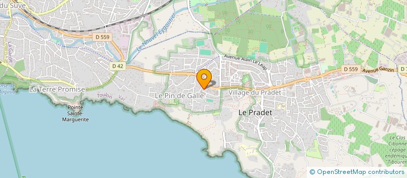 localisation de l'entreprise MADAME VIRGINIE RAFAEL à LE PRADET