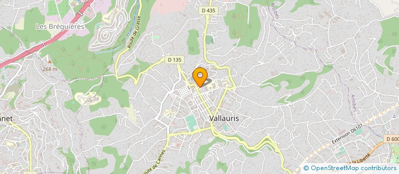 localisation de l'entreprise MADAME VIRGINIE RENAUX à VALLAURIS
