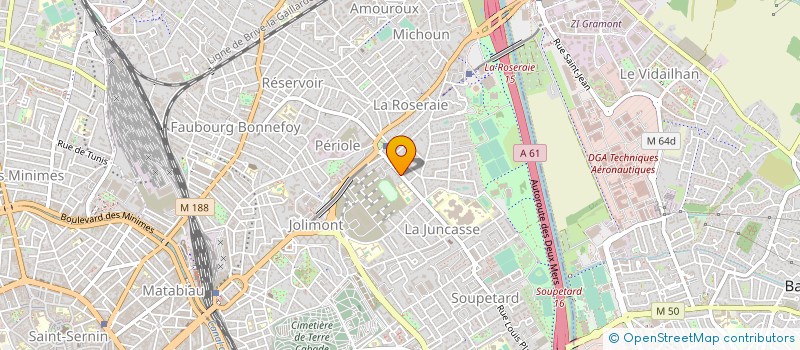 localisation de l'entreprise MADAME VIRGINIE RENAZEAU à TOULOUSE