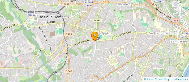 localisation de l'entreprise MADAME VIRGINIE RIZOUD  LYON