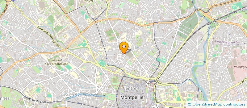 localisation de l'entreprise MADAME VIRGINIE SAIDI  MONTPELLIER