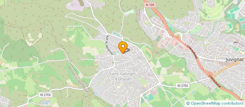 localisation de l'entreprise MADAME VIRGINIE SELLES  SAINT-GEORGES-D'ORQUES