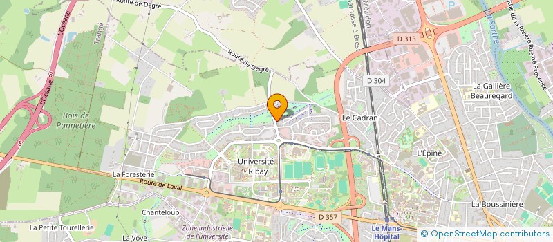 localisation de l'entreprise MADAME VIRGINIE SENNE  LE MANS