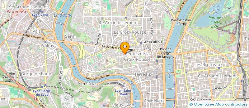 localisation de l'entreprise MADAME VIRGINIE SOZZI à LYON