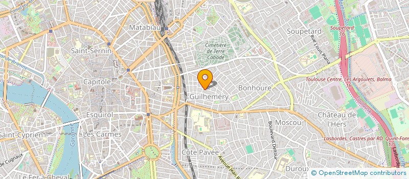 localisation de l'entreprise MADAME VIRGINIE THEVENIN à TOULOUSE