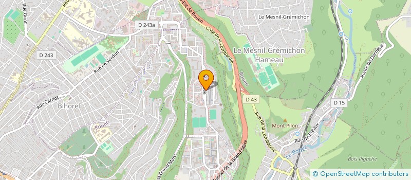 localisation de l'entreprise MADAME VIRGINIE TOULIS  ROUEN