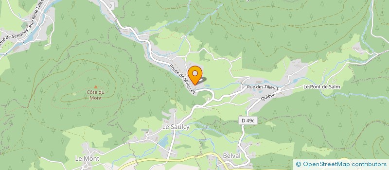 localisation de l'entreprise MADAME VIRGINIE TRAPPLER  LE SAULCY