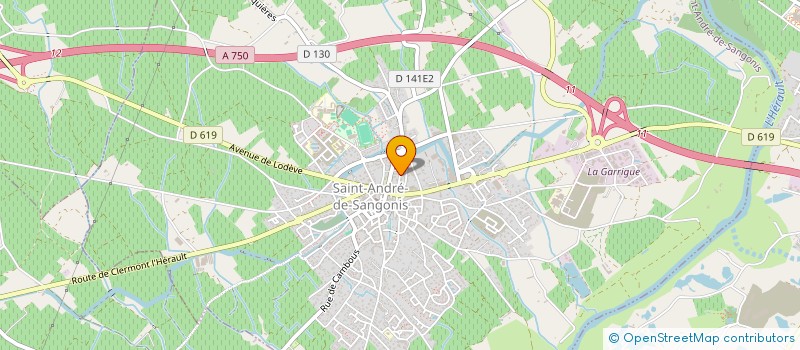 localisation de l'entreprise MADAME VIRGINIE VERRAES  SAINT-ANDRE-DE-SANGONIS