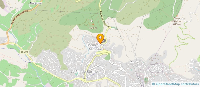 localisation de l'entreprise MADAME VIRGINIE WALTER  BORMES-LES-MIMOSAS