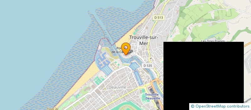 localisation de l'entreprise MADAME VIRGINIE WEBER à TROUVILLE-SUR-MER