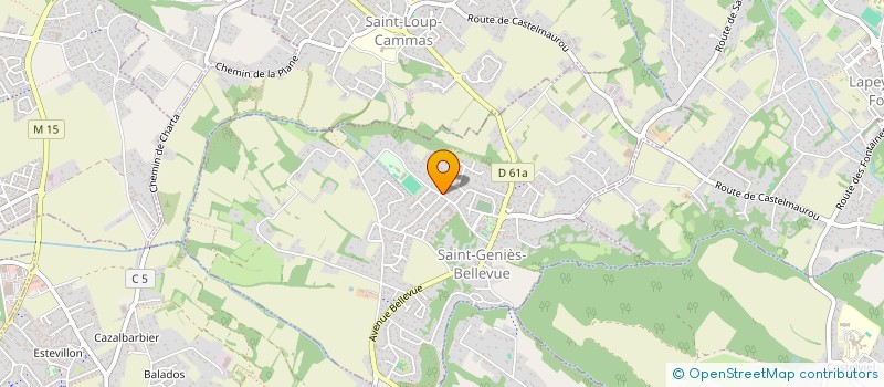 localisation de l'entreprise MADAME VIRGINIE ZAMBECCO  SAINT-GENIES-BELLEVUE