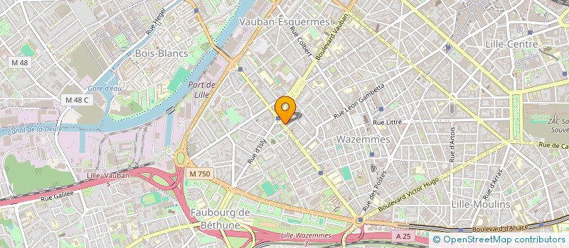 localisation de l'entreprise MADAME VIRIDIANA ABOUDOU BAGASSI à LILLE