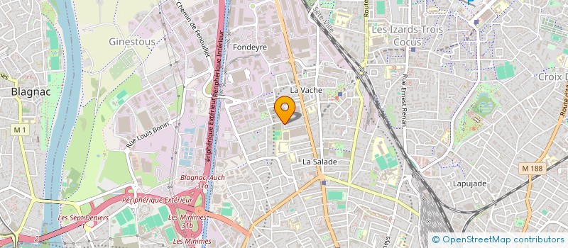 localisation de l'entreprise MADAME VIVIANE BETRIU à TOULOUSE
