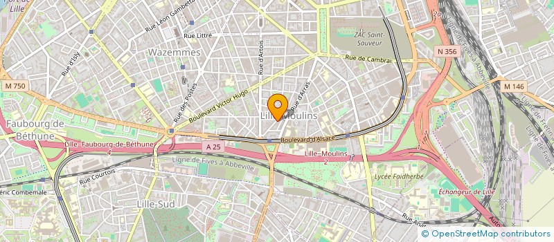 localisation de l'entreprise MADAME VIVIANE BLOTTEAU à LILLE