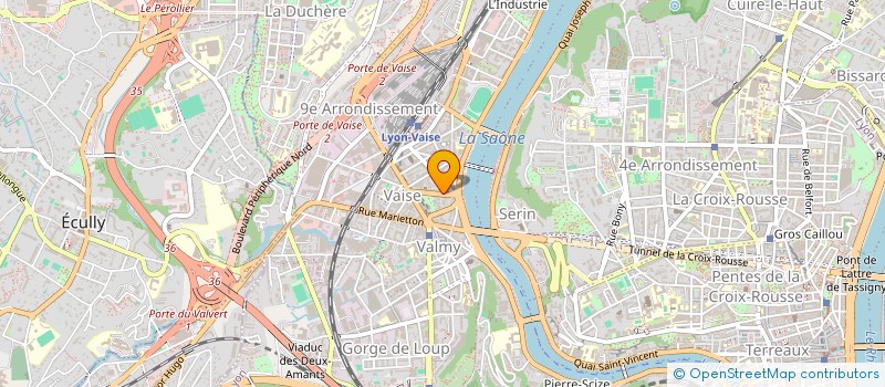 localisation de l'entreprise MADAME VIVIANE DONDELINGER  LYON