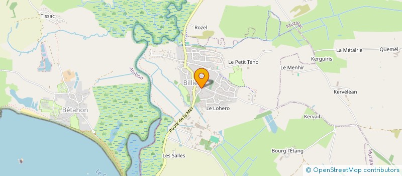 localisation de l'entreprise MADAME VIVIANE GELOT  BILLIERS