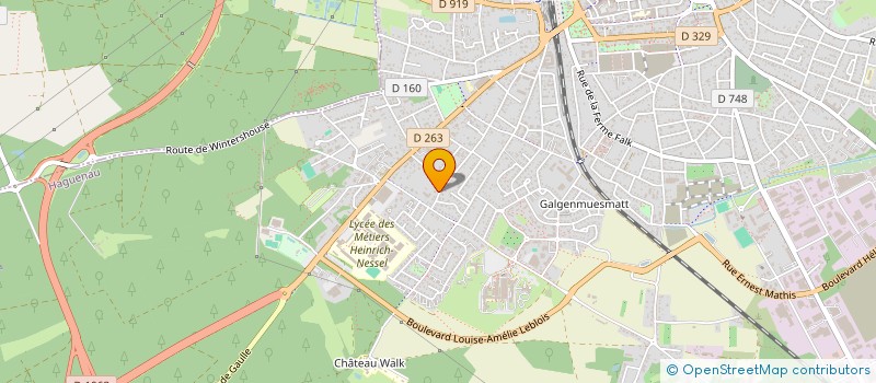 localisation de l'entreprise MADAME VIVIANE KREMSER à HAGUENAU