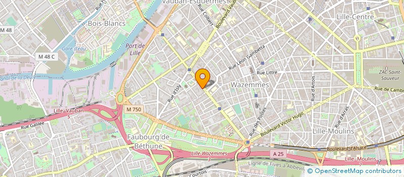 localisation de l'entreprise MADAME VIVIANE LOMBARD à LILLE