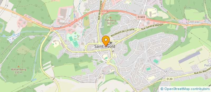 localisation de l'entreprise MADAME VIVIANE LUSETTI  SAINT-AVOLD