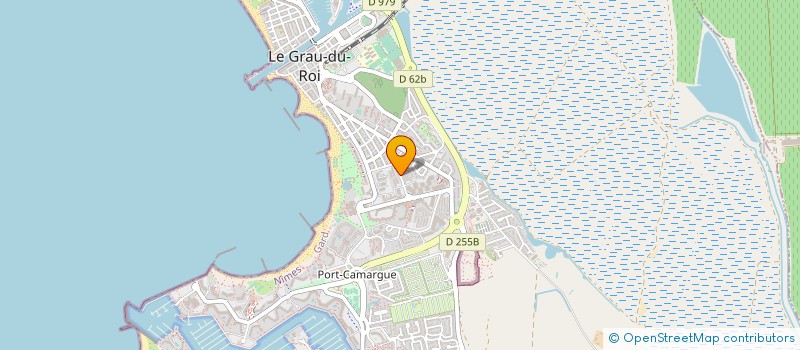 localisation de l'entreprise MADAME VIVIANE MICALONI  LE GRAU-DU-ROI