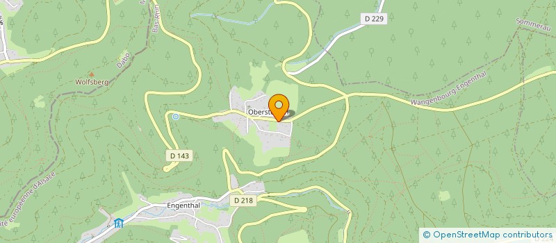 localisation de l'entreprise MADAME VIVIANE NAAL  WANGENBOURG-ENGENTHAL