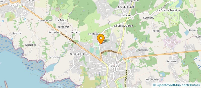 localisation de l'entreprise MADAME VIVIANE PHILIPPOT  CARNAC