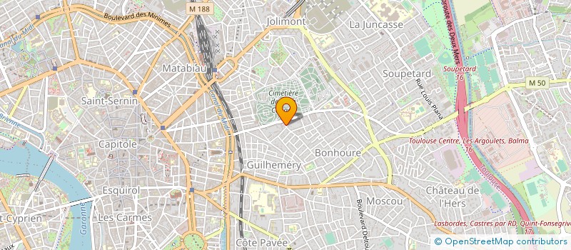 localisation de l'entreprise MADAME VIVIANE PITTON à TOULOUSE
