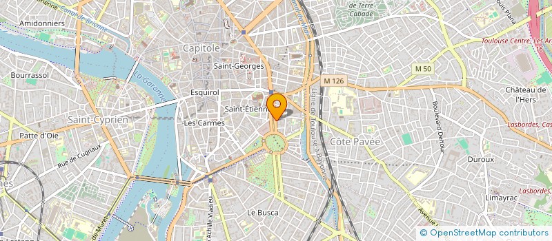 localisation de l'entreprise MADAME VIVIANE VIDALIE  TOULOUSE