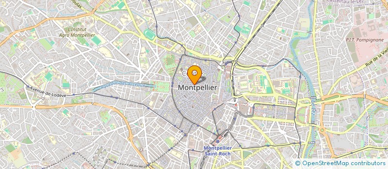 localisation de l'entreprise MADAME VIVIENNE SANTOS  MONTPELLIER