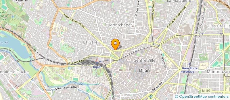 localisation de l'entreprise MADAME VLASTA CHMELAROVA à DIJON