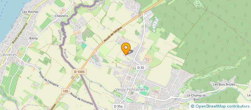 localisation de l'entreprise MADAME VONIARITIANA CHRYSOPRASE  VEIGY-FONCENEX