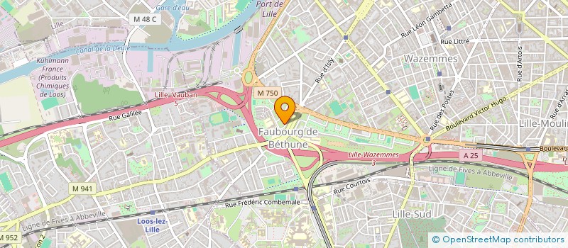 localisation de l'entreprise MADAME WAHIBA MEROUANI à LILLE