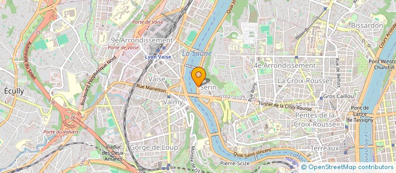 localisation de l'entreprise MADAME WANNIKEY MUNDELE WATEZOLODIO  LYON