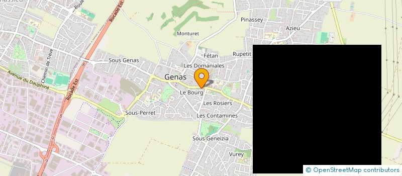 localisation de l'entreprise MADAME WENDY MEZGUELDI  GENAS