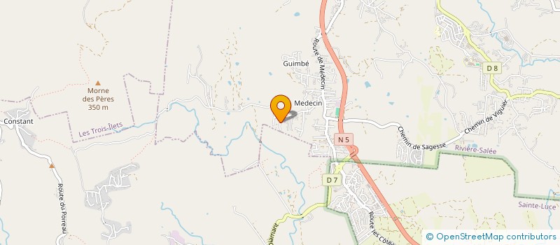 localisation de l'entreprise MADAME WENDY NICKELS  RIVIERE-SALEE