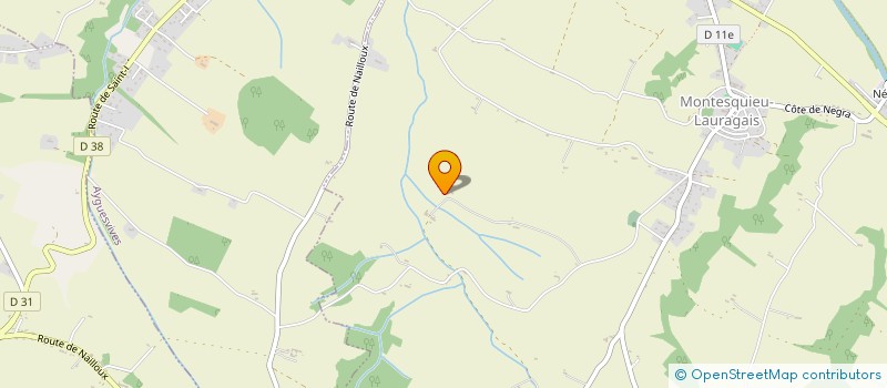 localisation de l'entreprise MADAME WENDY SAFFON  MONTESQUIEU-LAURAGAIS