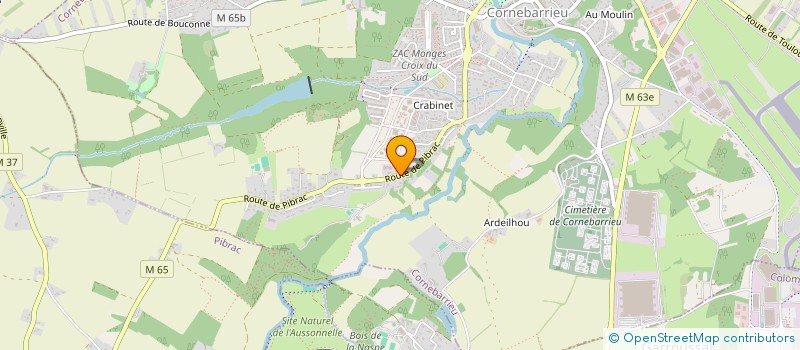 localisation de l'entreprise MADAME WENGUI HU  CORNEBARRIEU