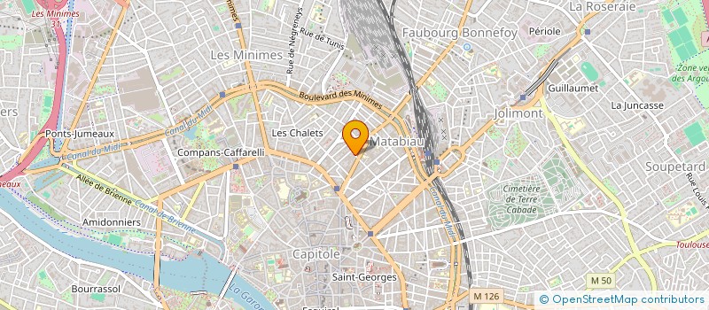 localisation de l'entreprise MADAME WIDELINE DUZELLIER à TOULOUSE