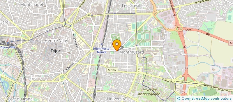 localisation de l'entreprise MADAME XIAO XU  DIJON