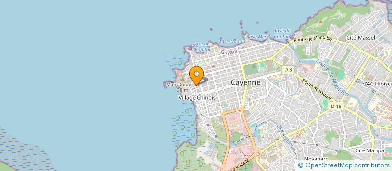 localisation de l'entreprise MADAME XIAOWEI GUO  CAYENNE