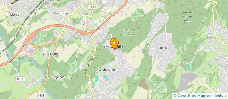 localisation de l'entreprise MADAME YAEL DUCRET  ALLINGES